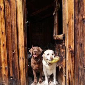 Meet your Posher, Shawn